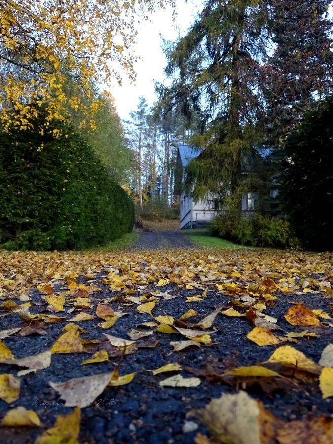 B&B Savikon Kartano Kitee Zewnętrze zdjęcie